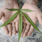 Biden perdona a todos los convictos por posesión de mariguana en EU