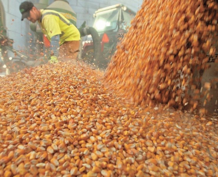 Guerra en Ucrania provoca la peor crisis alimentaria global desde el año 2008: FMI