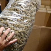 La policía española incauta histórica cantidad de marihuana con valor de casi 64 millones de dólares