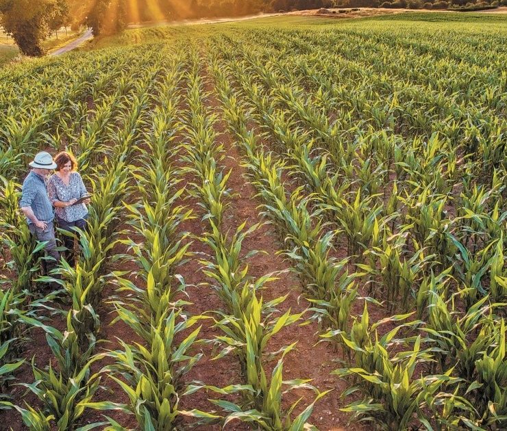 Productores y académicos se reunirán en Monterrey para analizar retos y oportunidades del sector agroalimentario