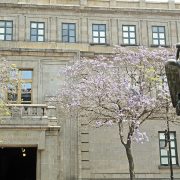 SCJN pospone para el jueves el debate sobre prisión preventiva oficiosa