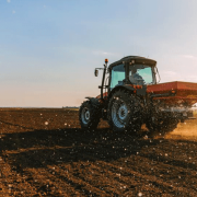 STPS emite criterios de contratación en el sector agroindustrial