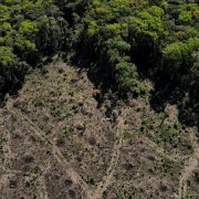 ¿Podrá Lula salvar el Amazonas?