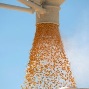 Corteva Agriscience compra Stoller Group por 1,200 millones de dólares