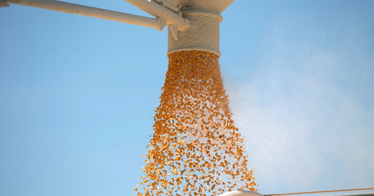 Corteva Agriscience compra Stoller Group por 1,200 millones de dólares