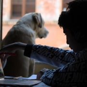 Espacios abiertos y para mascotas, parte de las tendencias inmobiliarias para el 2023