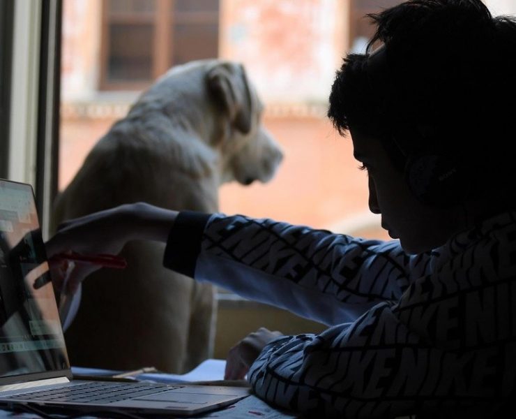 Espacios abiertos y para mascotas, parte de las tendencias inmobiliarias para el 2023