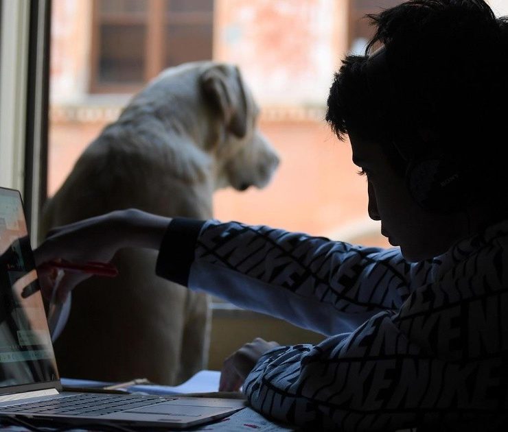 Espacios abiertos y para mascotas, parte de las tendencias inmobiliarias para el 2023