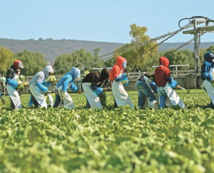 Productores agropecuarios de Querétaro alistan estrategias ante impacto de sequía