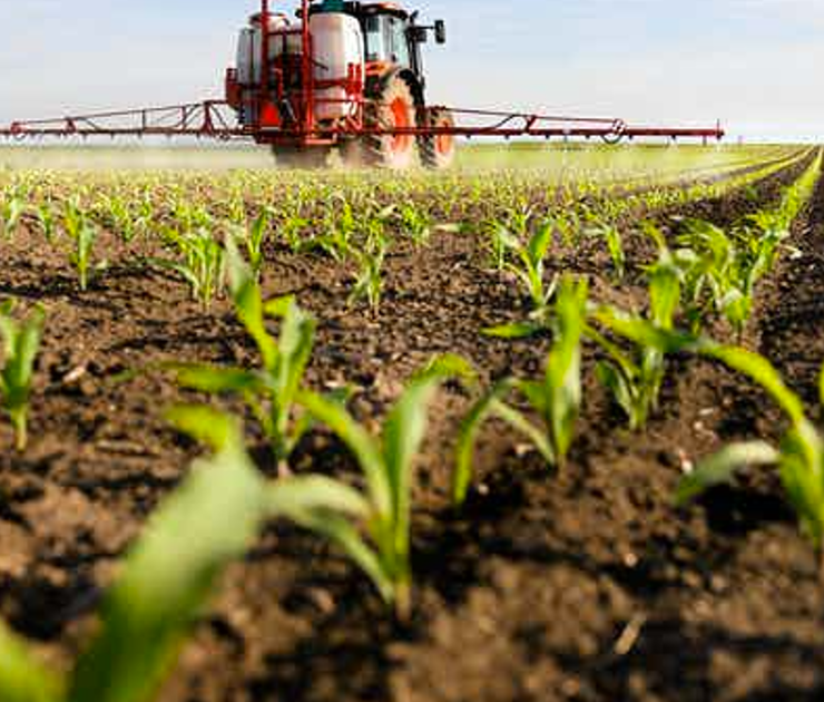 Prohibición de plaguicidas disminuirá la producción agrícola y aumentará precios de los alimentos
