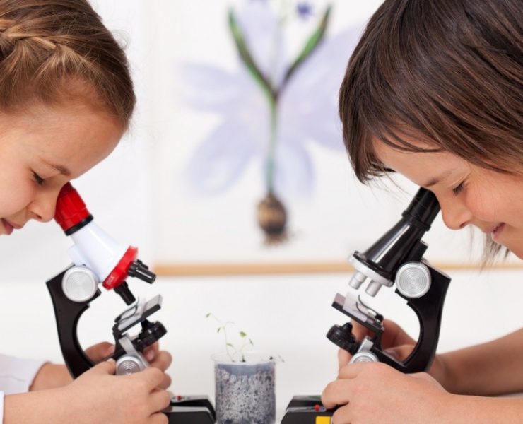 ¿Cómo detectar si tenemos un futuro científico en casa?