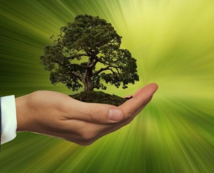 ¿El sueño de la construcción de vivienda sostenible e inclusiva es posible? América Latina cuenta con ventajas comparativas verdes: BID