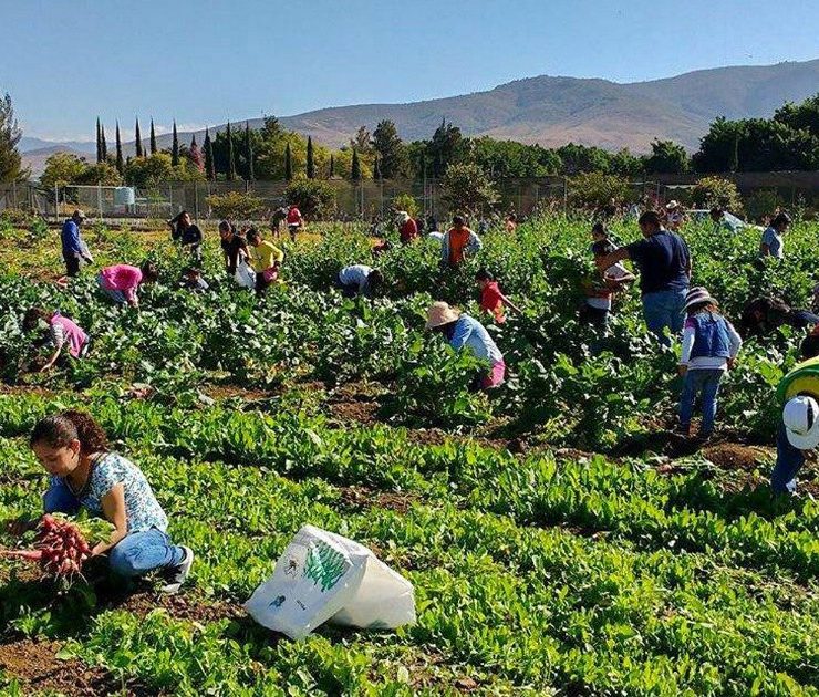 Agrofibra, el primer fideicomiso inmobiliario agro, adquiere inmuebles de Gear y Rube por 20 millones de dólares