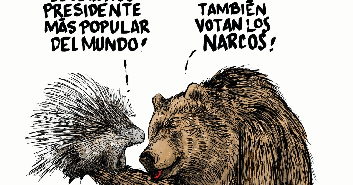El oso y el puerco espín