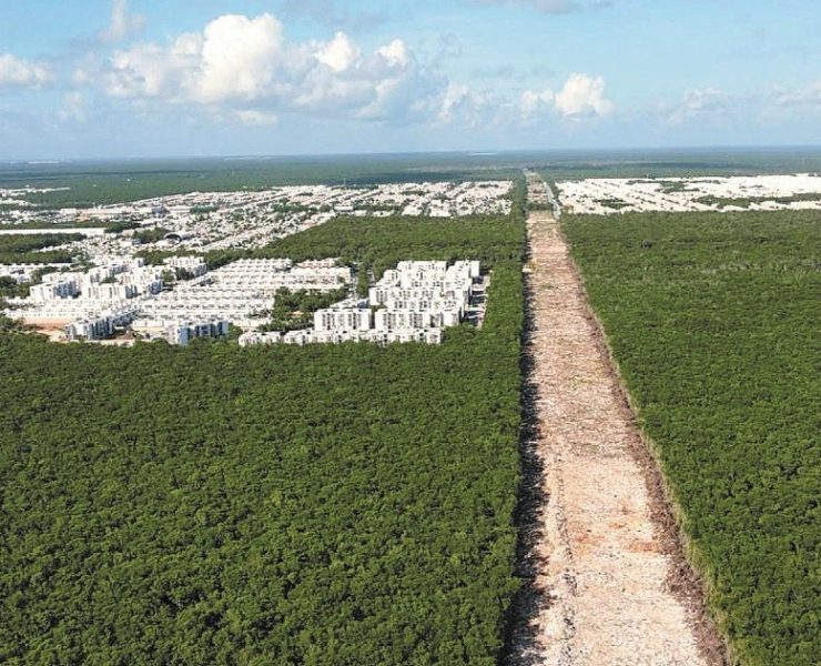 Juez rechaza suspender obras del Tramo 5 del Tren Maya