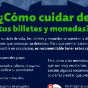 ¿Cómo cuidar de tus billetes y monedas?