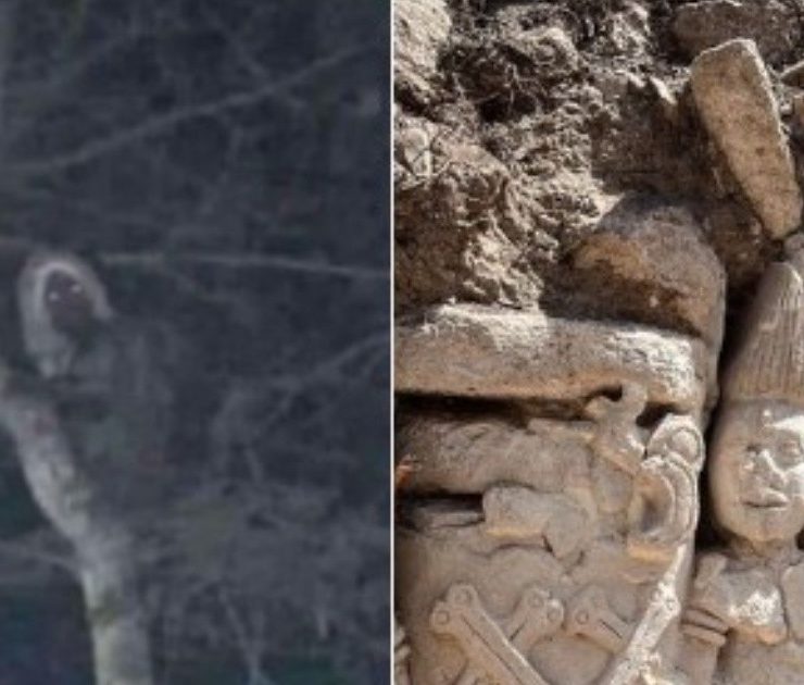 AMLO comparte foto de un supuesto ser mitológico en obras del Tren Maya y usuarios lo desmienten