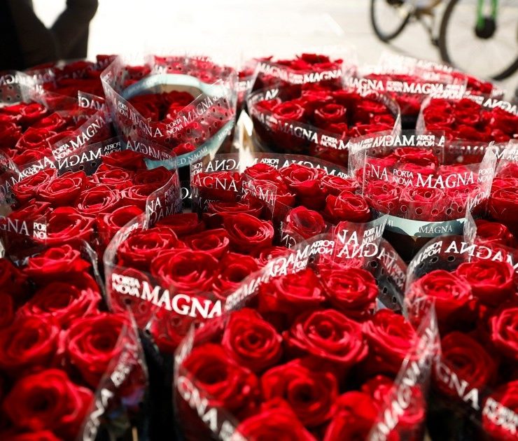 Comerciantes de flores deciden bajar precios, aunque la ganancia sea menor