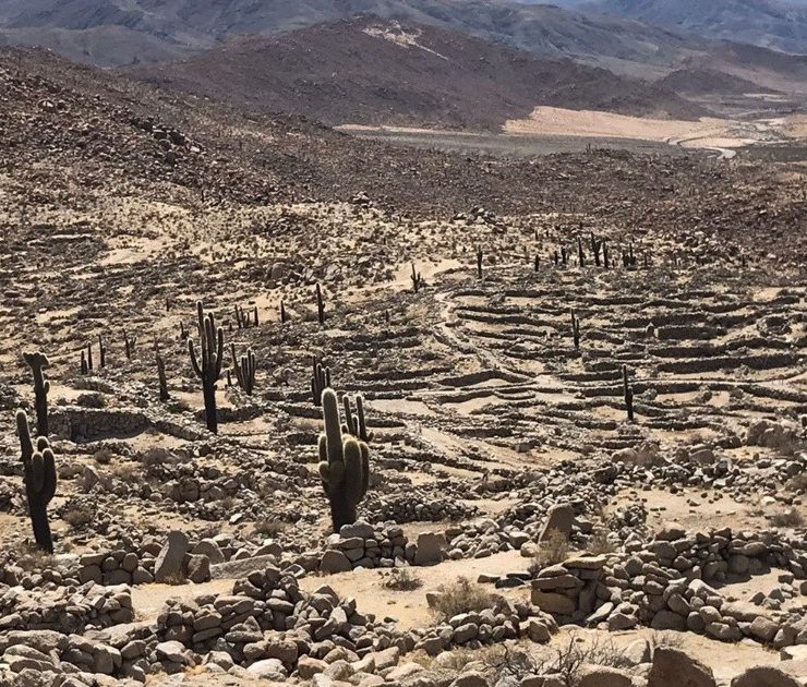 El INAH colabora en el registro de petroglifos en sitio argentino del Qhapaq Ñan
