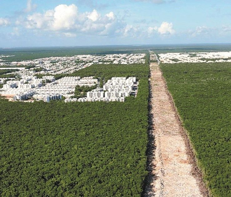 Gobierno de AMLO expropia 23 predios para el Tramo 6 del Tren Maya en Quintana Roo