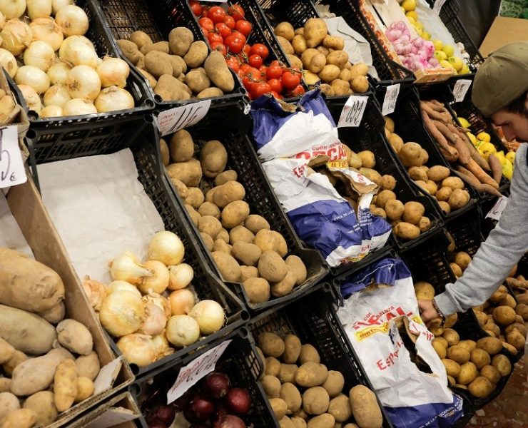 Los precios mundiales de los alimentos siguieron bajando en enero: FAO