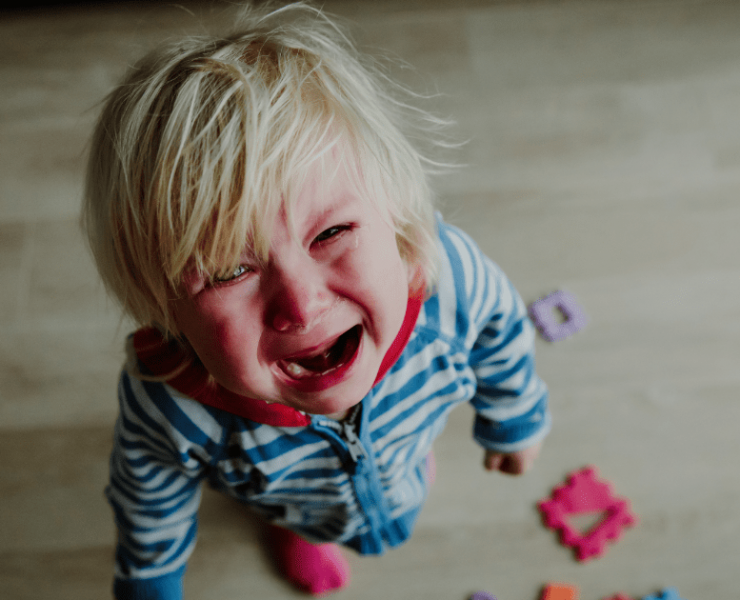 ¿Cómo moldea el estrés nuestro cerebro? La infancia es el periodo crítico