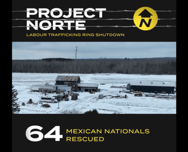 Foto: Twitter York Regional Police (@YRP)