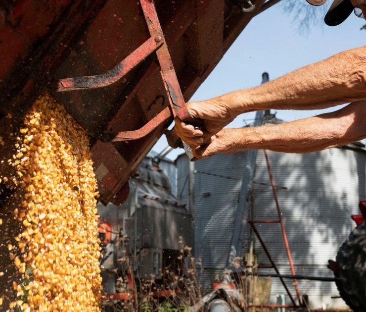 México corre riesgo de perder panel por controversia sobre maíz transgénico en marco del T-MEC: Coparmex