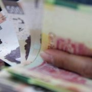 Tribunal Electoral prohibe a partidos hacer “guardaditos” para campaña presidencial del 2024